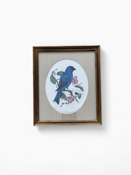 Robin Hill prints “zangvogels van de wereld”