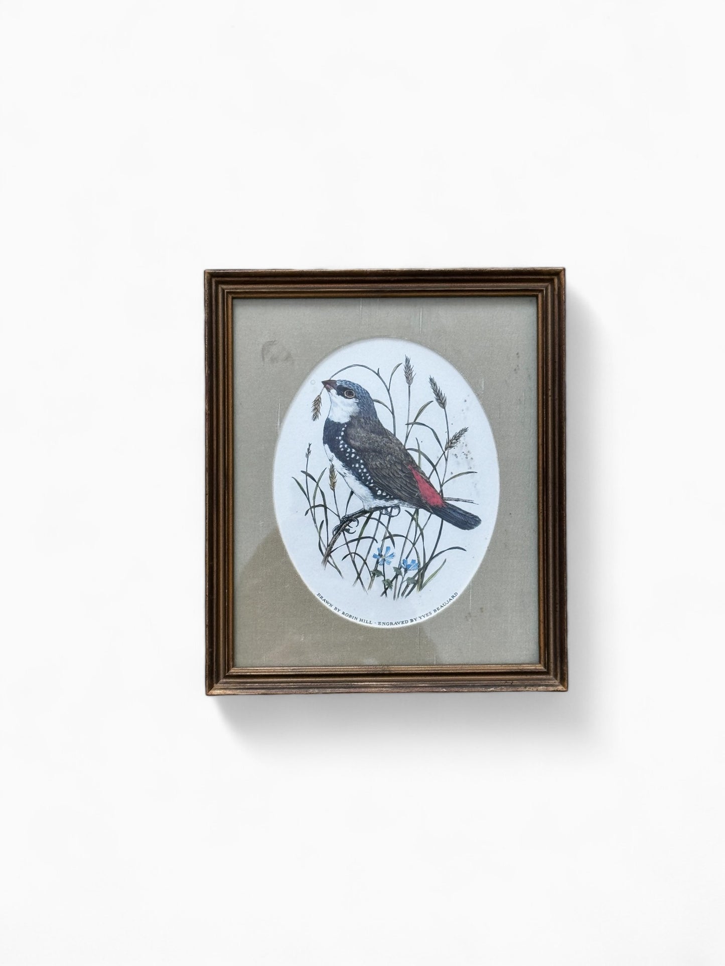 Robin Hill prints “zangvogels van de wereld”