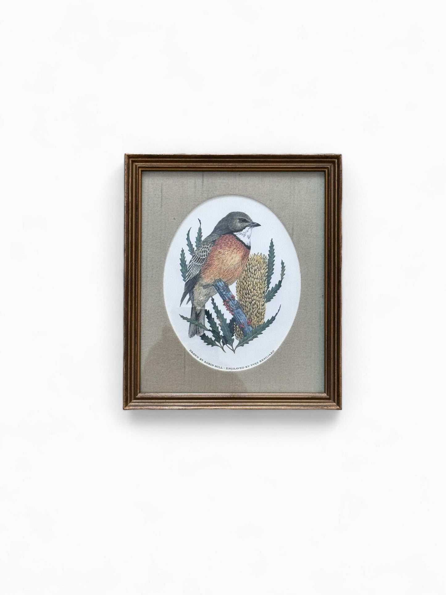 Robin Hill prints “zangvogels van de wereld”